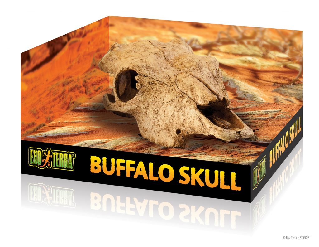 ExoTerra Buffalo Skull bölénykoponya nagy
