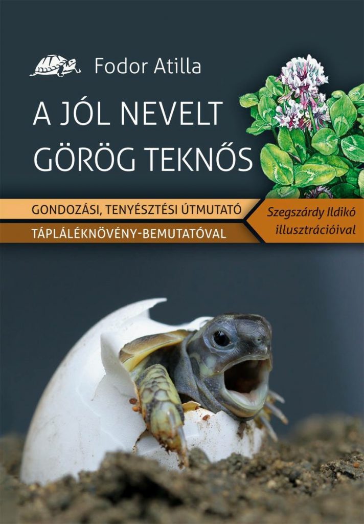 A jól nevelt Görög teknős - Könyv