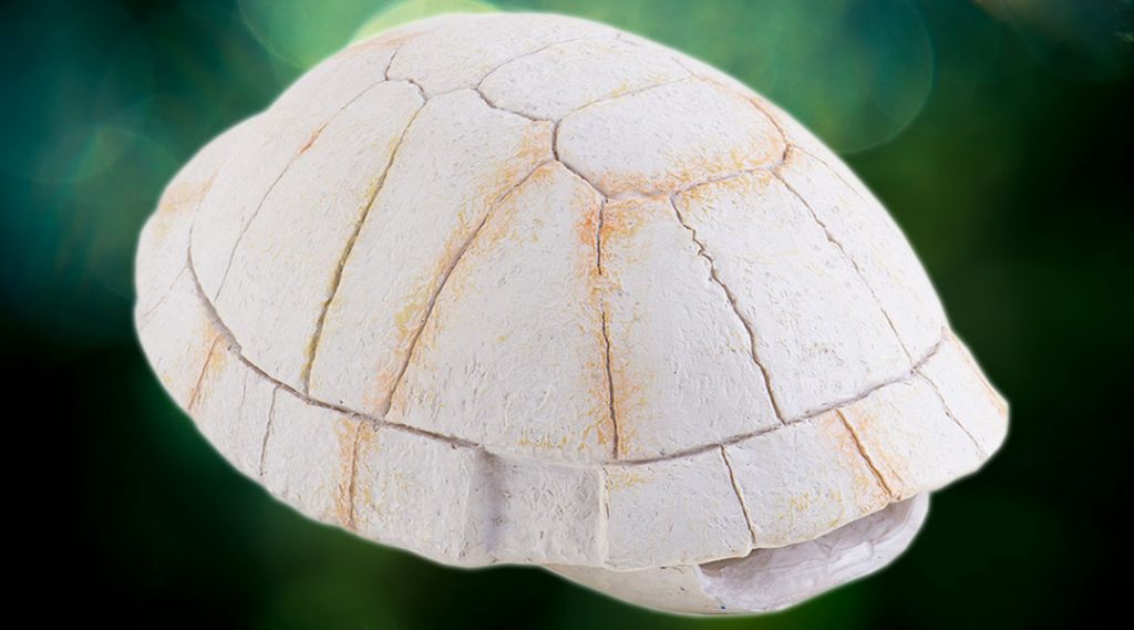 ExoTerra Tortoise Skeleton- teknőspáncél alakú