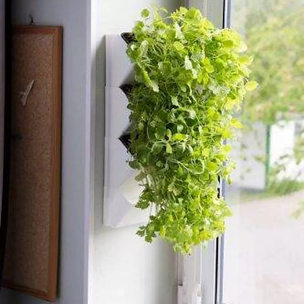 Aquael | Versa Garden Herbs | moduláris fali fűszernövénytartó - Image 2