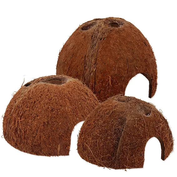 Repti Planet Coco Shell | Kókuszhéj bújóka terráriumi állatoknak - L - Image 2