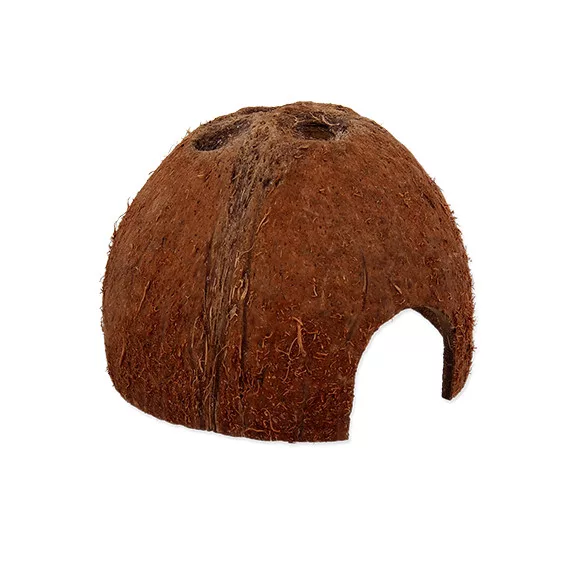 Repti Planet Coco Shell | Kókuszhéj bújóka terráriumi állatoknak - L - Image 4