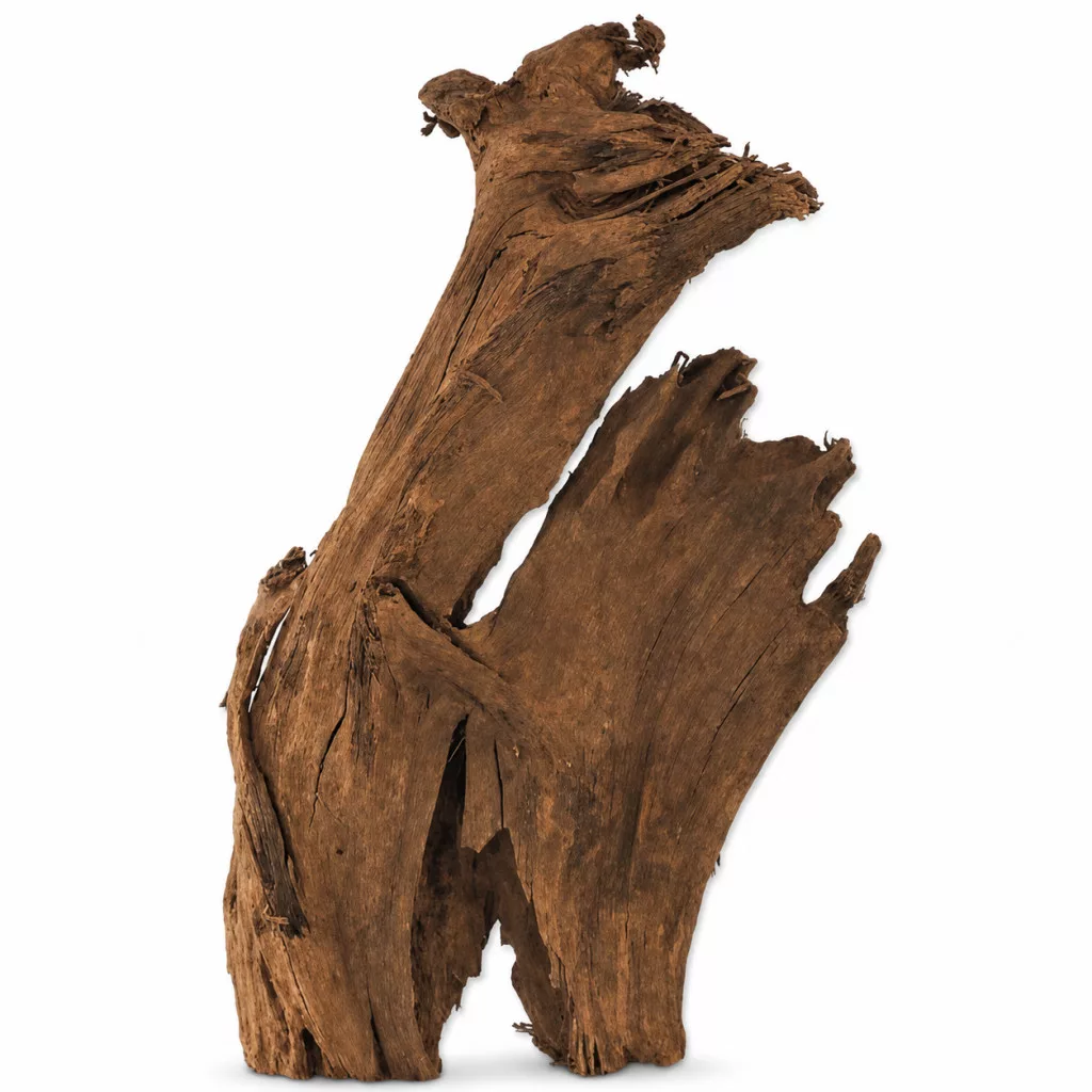 Repti Planet | Driftwood | Természetes uszadékfa dekoráció terráriumokba és akváriumba – L (35–55 cm)