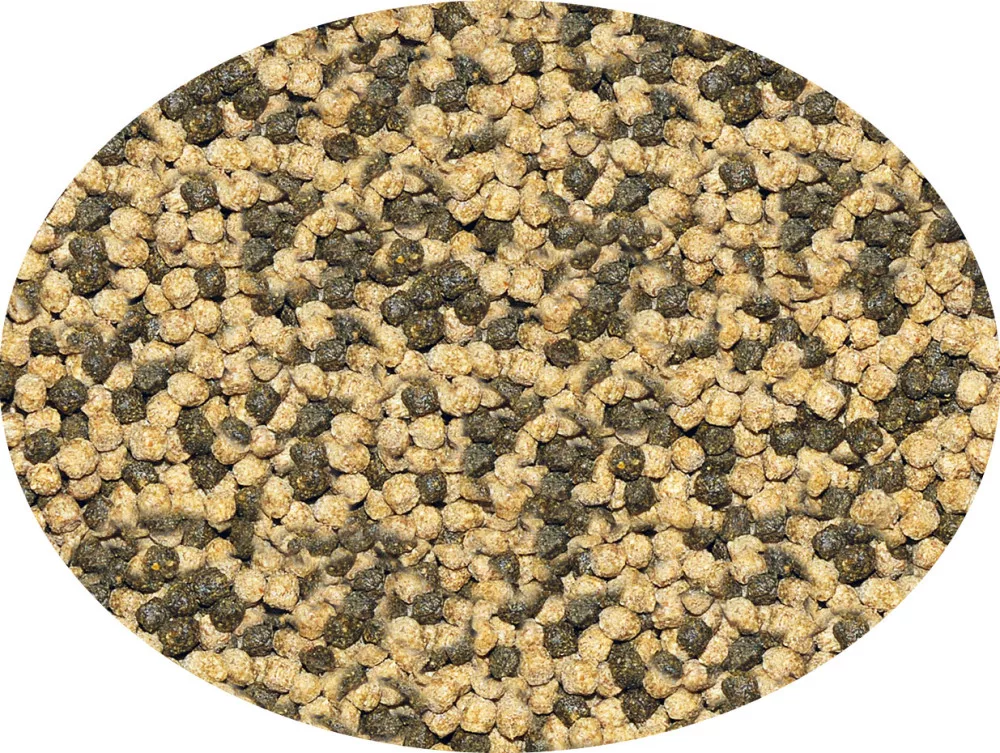 Haquoss | Carnivor Pellets | Granulátum húsevő és mindenevő hüllőknek - 100 ml - Image 2