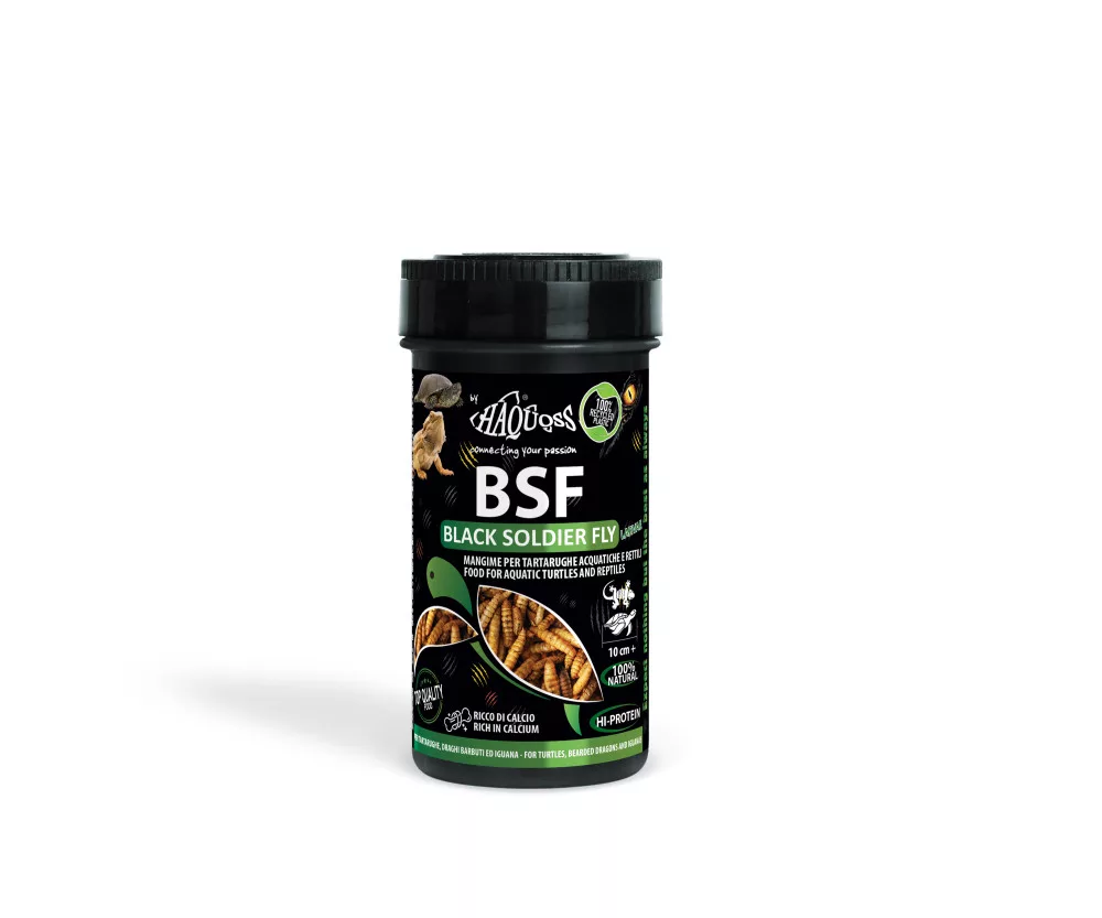 Haquoss | Black Soldier Fly Larvae | Szárított katonalégy lárva rovarevőknek - 1000 ml