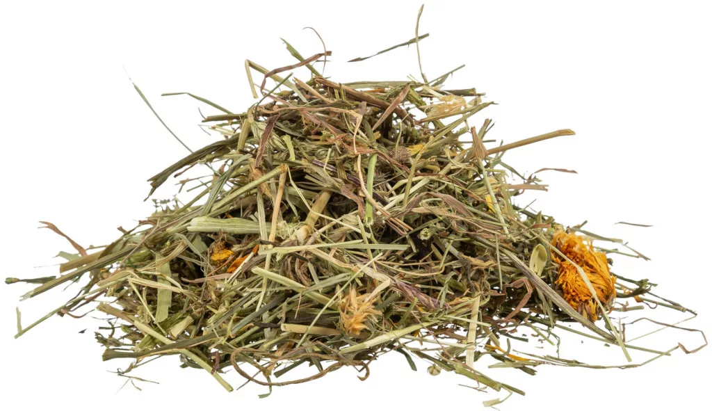 Trixie | Grasses and Meadow Herbs for Tortoises | Kiegészítő eleség (pázsit- és rétifű) teknősbékák részére - 200g - Image 2