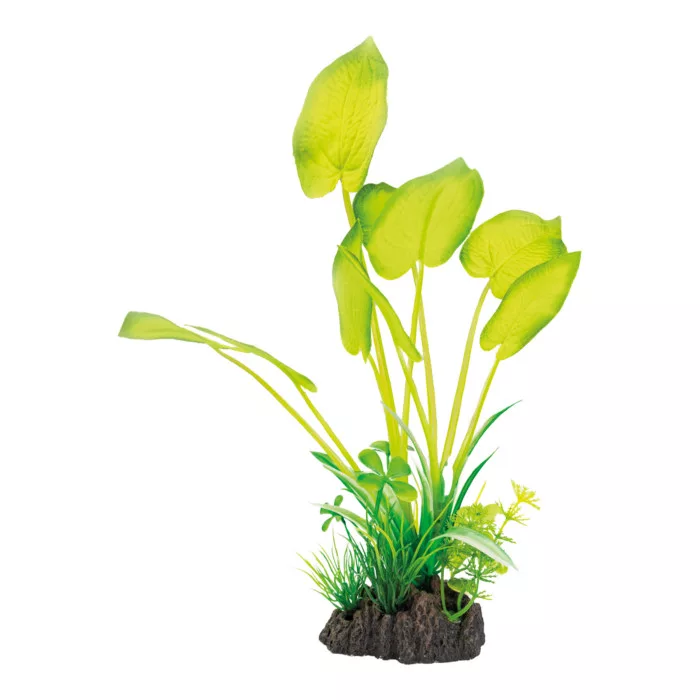 SuperFish | Art Plant - Echinodorus - Műnövény - 25CM