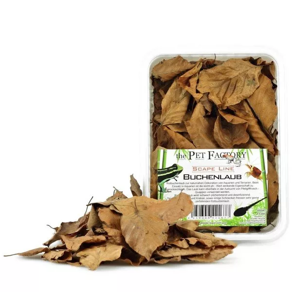 The Pet Factory Buchenlaub | Szárított bükkfalevél aljzatdekoráció bioaktív terráriumokhoz – 1 liter