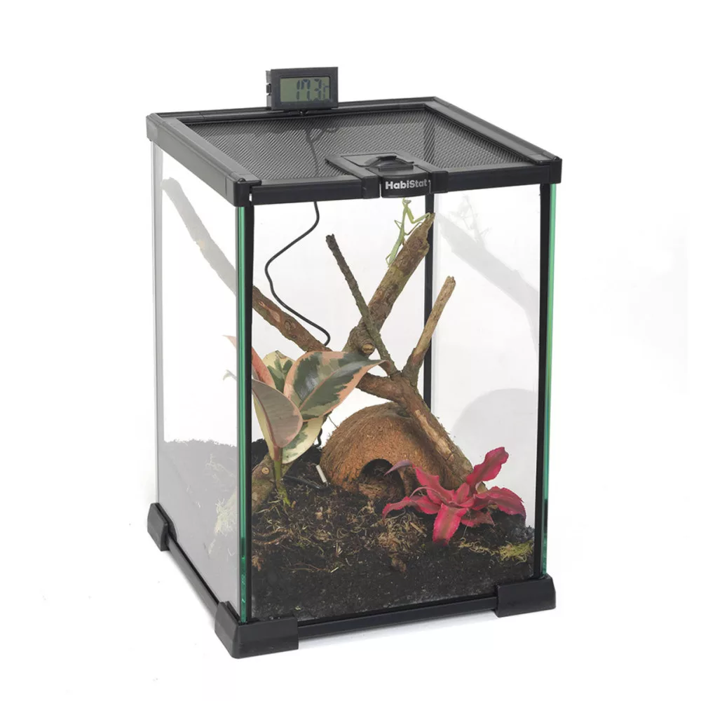 HabiStat | Glass Terrarium | Üveg terrárium kis testű hüllőknek és kétéltűeknek – 20×20×30 cm - Image 5