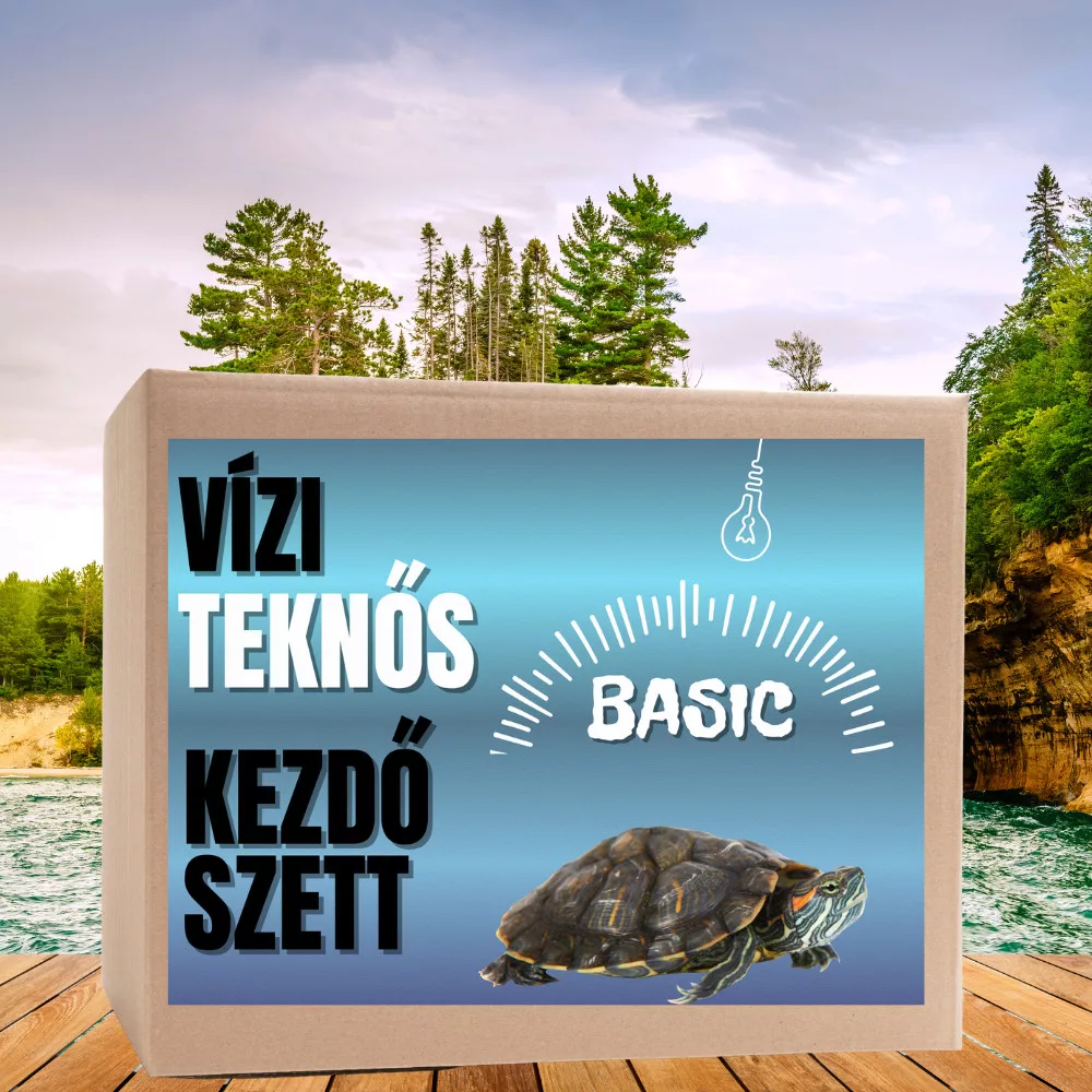 Vízi teknős BASIC kezdőcsomag - bébi ékszer, király, pézsma teknősnek