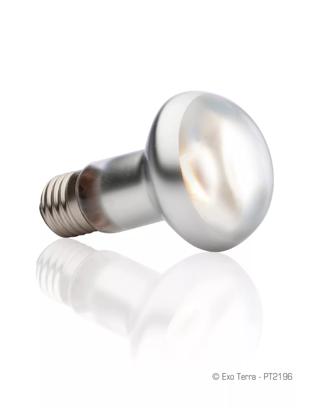 Exo Terra Intense Basking Spot Lamp | Melegítő izzó - 25 W - Image 3