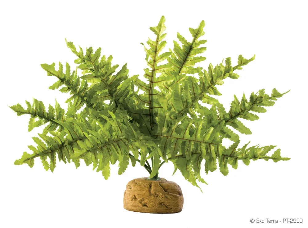 Exo Terra Boston Fern | Műnövény Páfrány - kicsi