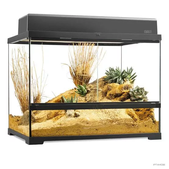 Exo-Terra | Pro Terrarium | Prémium üveg terrárium nyitható előlappal – 60 × 45 × 45 cm