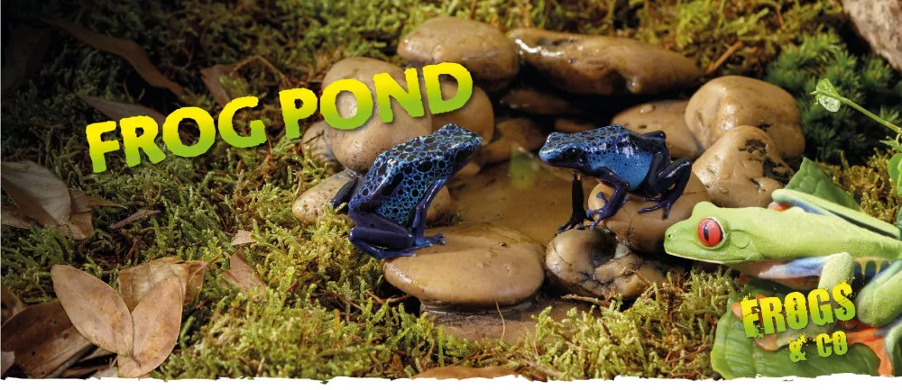 ExoTerra Frog Pond Pebble Water Dish | Béka tó, itató - L - Image 2