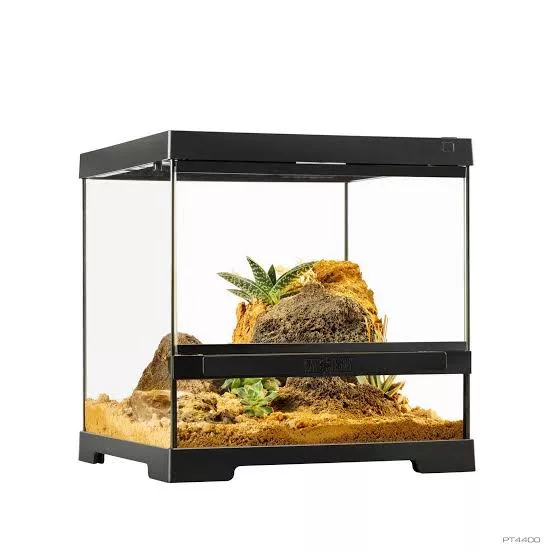Exo-Terra | Pro Terrarium | Kisméretű kocka üveg terrárium nyitható előlappal – 30 × 30 × 30 cm