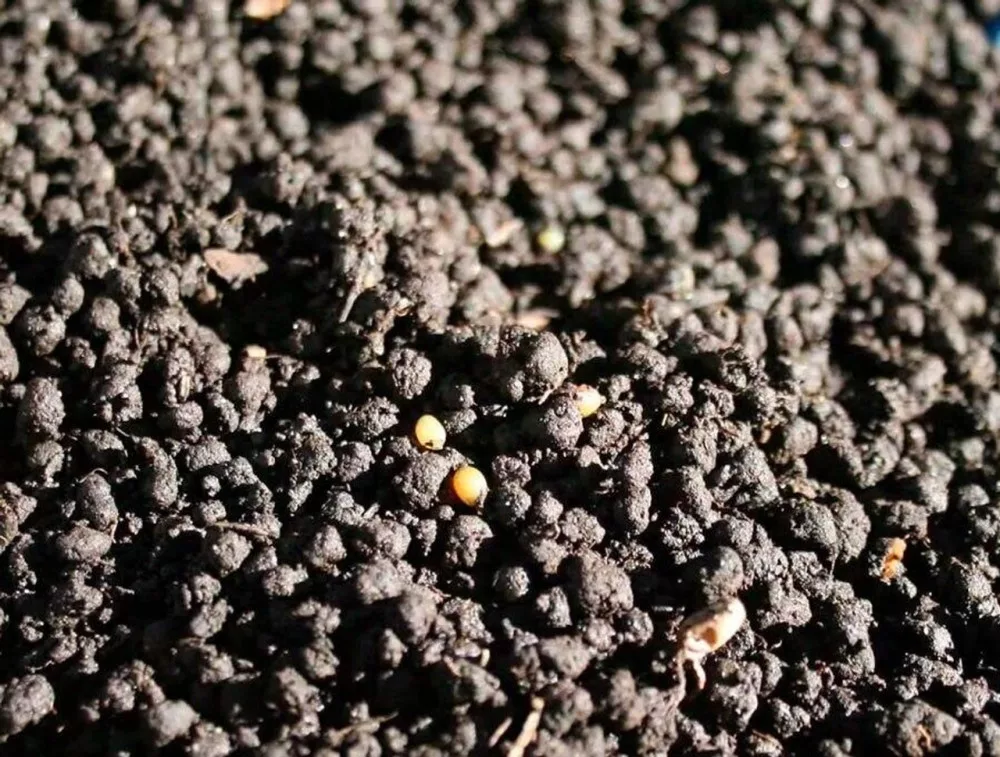 Arcadia | EarthMix Arid | Bioaktív terráriumi talajkeverék szárazságtűrő hüllők számára – 5 liter - Image 3