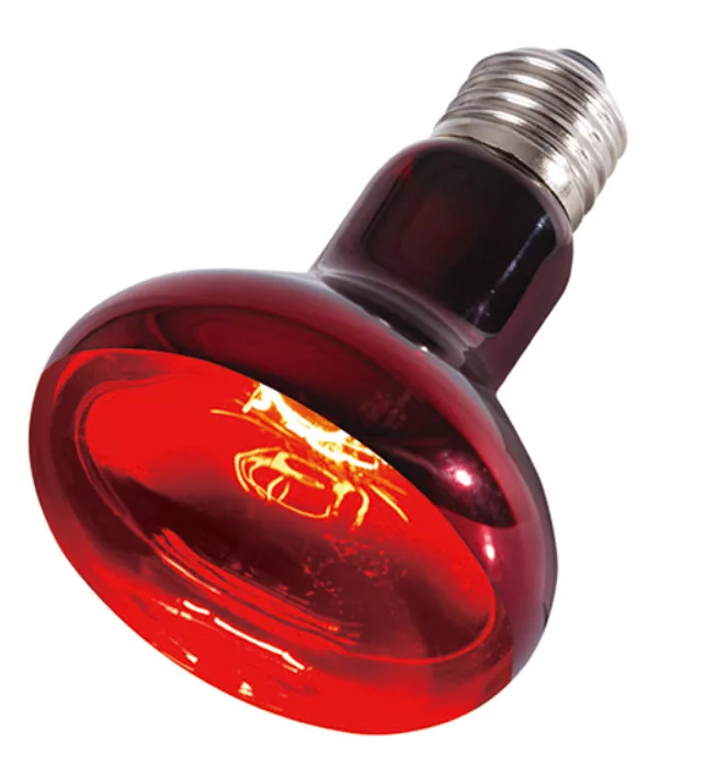 Repti Zoo Infrared Heat Spot Lamp | Infravörös melegítő izzó - 100 W - Image 2