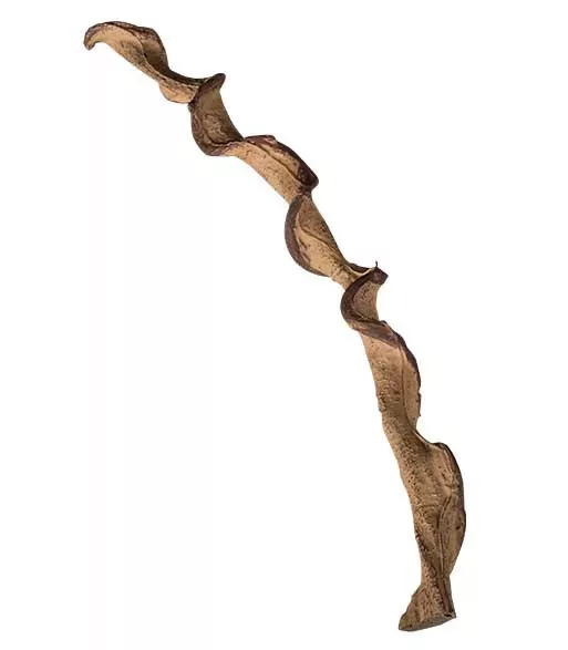 Repti Zoo | Dekor csavart fa | Természetes hatású műanyag dekorációs ág terráriumokba – 60 cm