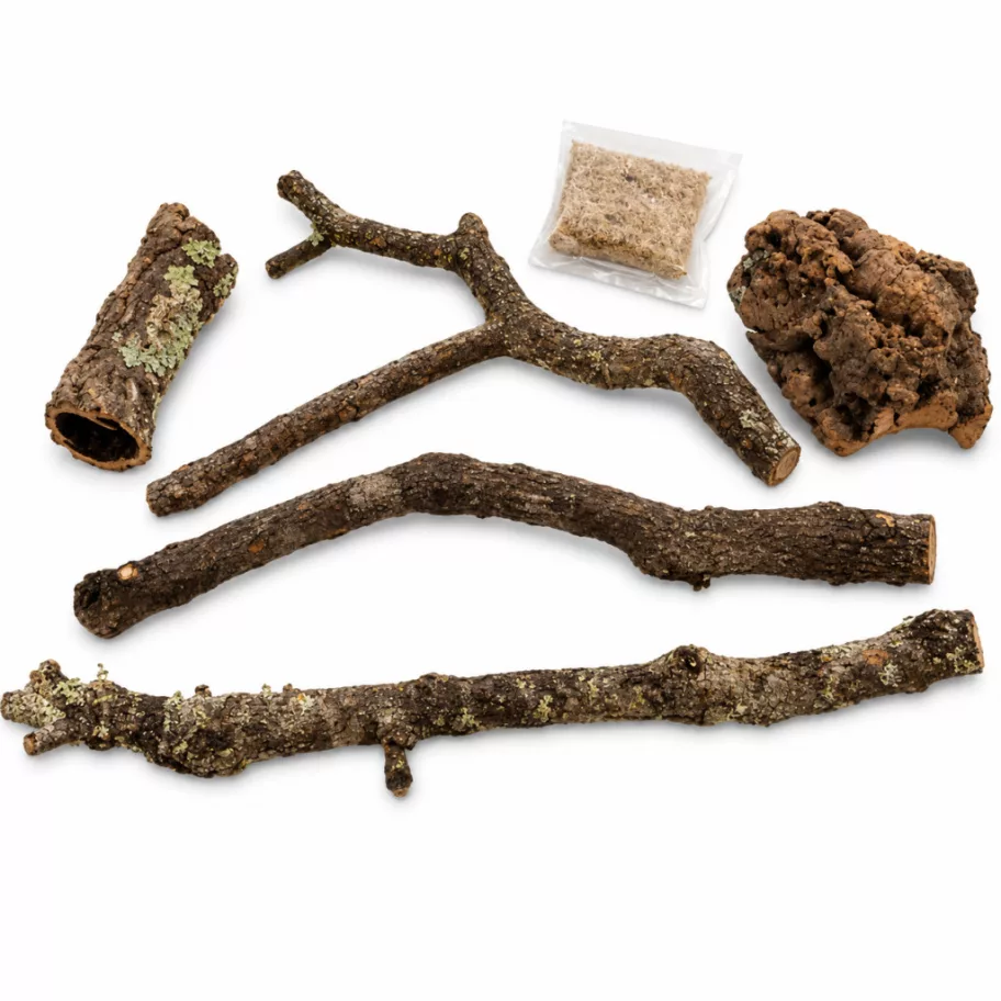 Repti Planet Natural Decoration Set természetes terráriumi dekorációs csomag