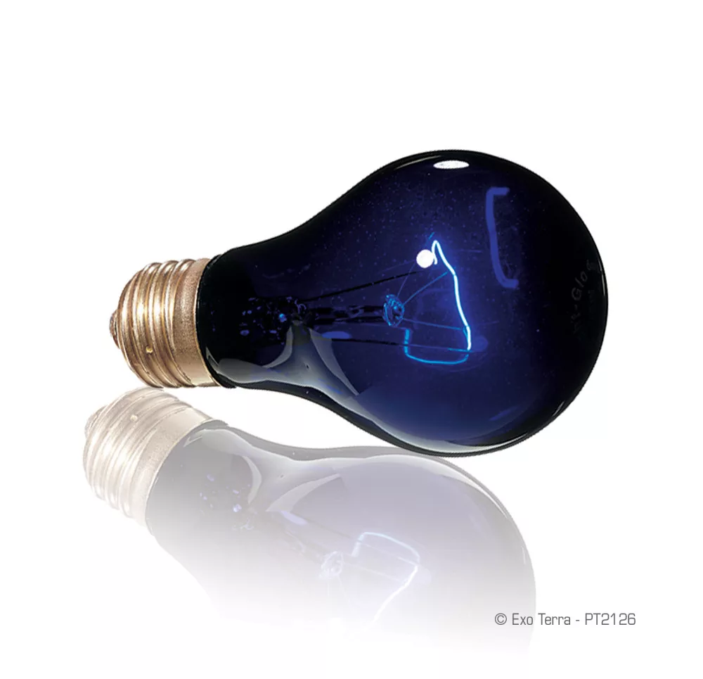 Exo Terra Night Heat Lamp | Éjszakai melegítő izzó - 50 W - Image 2