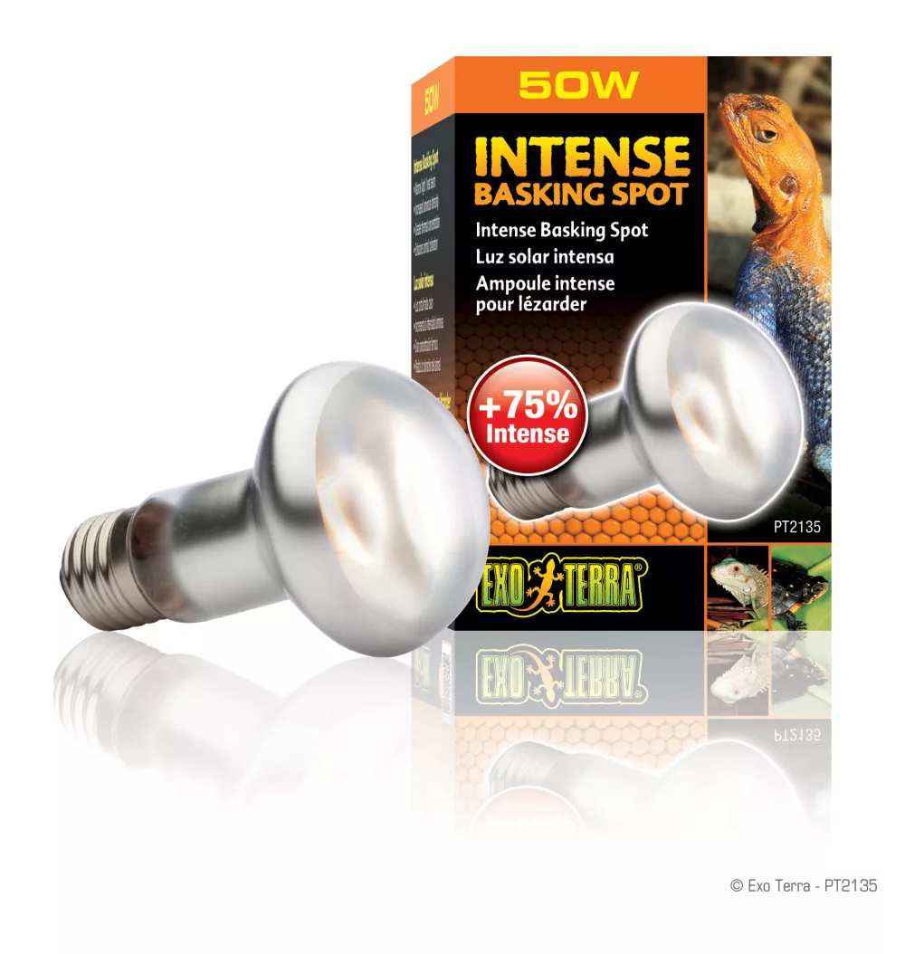 Exo Terra Intense Basking Spot Lamp | Melegítő izzó - 50 W - Image 2