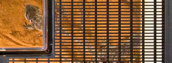Exo Terra Faunarium | XXL - Image 2