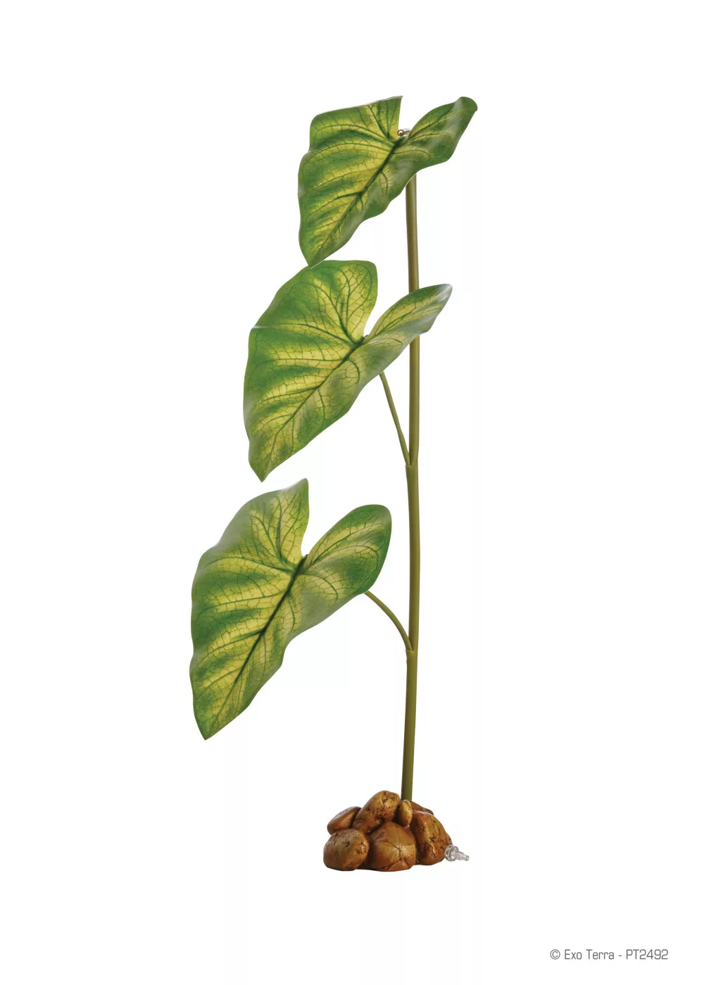 Exo terra Dripper Plant | Csepegtető növény - nagy - Image 2